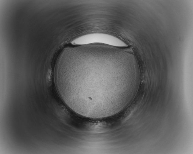 X0000088480646200706121531