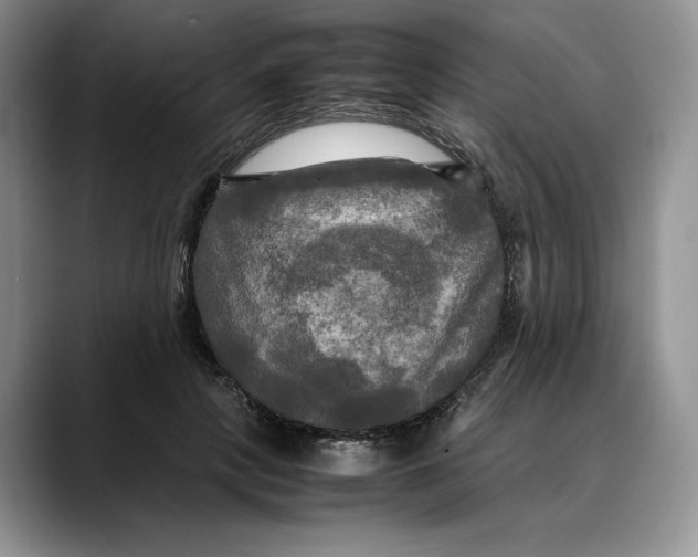X0000088480649200706121531