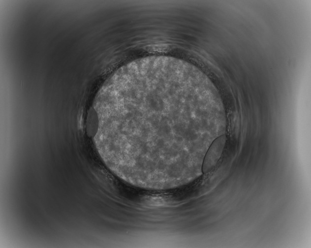 X0000088480655200706121531