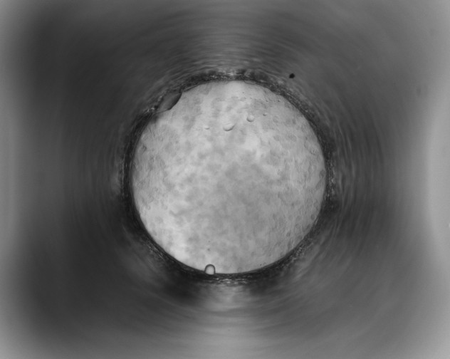X0000088480656200706121531