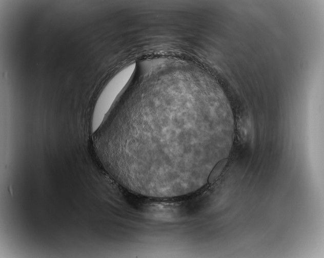 X0000088480657200706121532