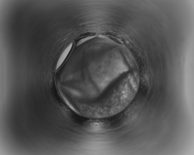 X0000088480658200706121532