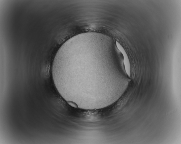 X0000088480660200706121532