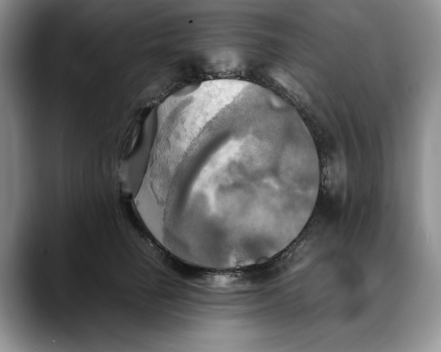 X0000088480662200706121532