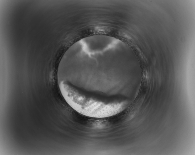 X0000088480663200706121532