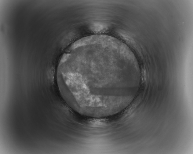 X0000088480664200706121532