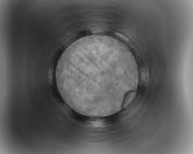 X0000088480667200706121532