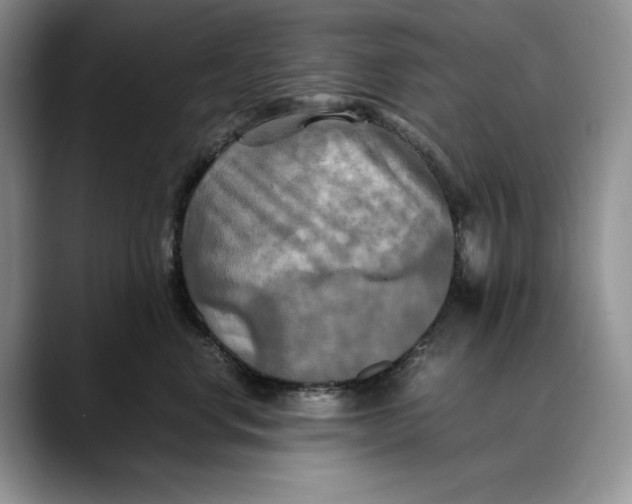 X0000088480668200706121532