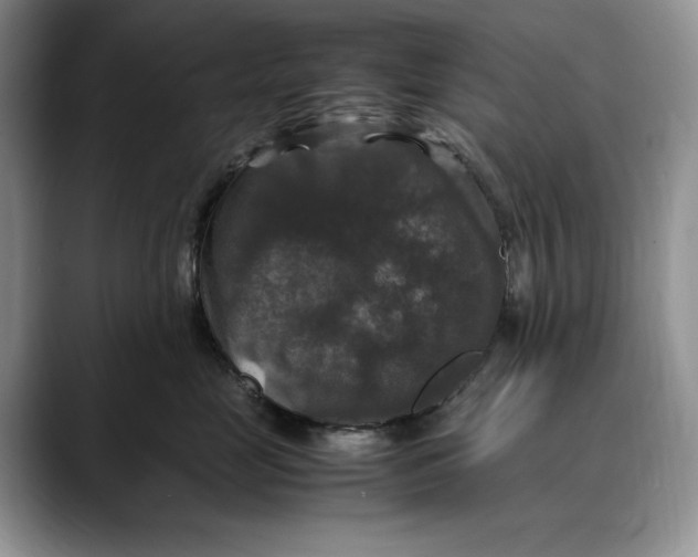 X0000088480669200706121532