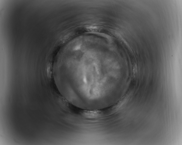 X0000088480671200706121532