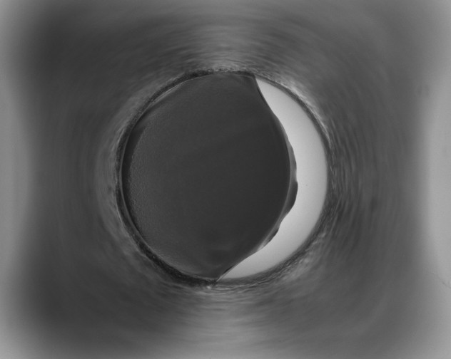 X0000088480673200706121531