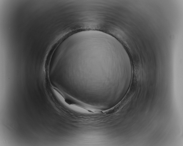 X0000088480674200706121531