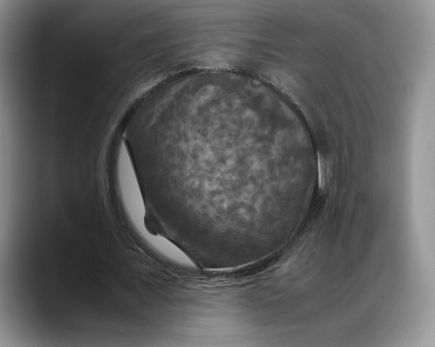 X0000088480675200706121531
