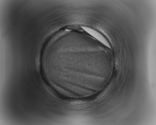 X0000088480677200706121531