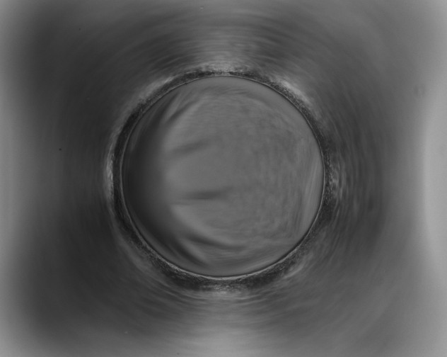 X0000088480678200706121531