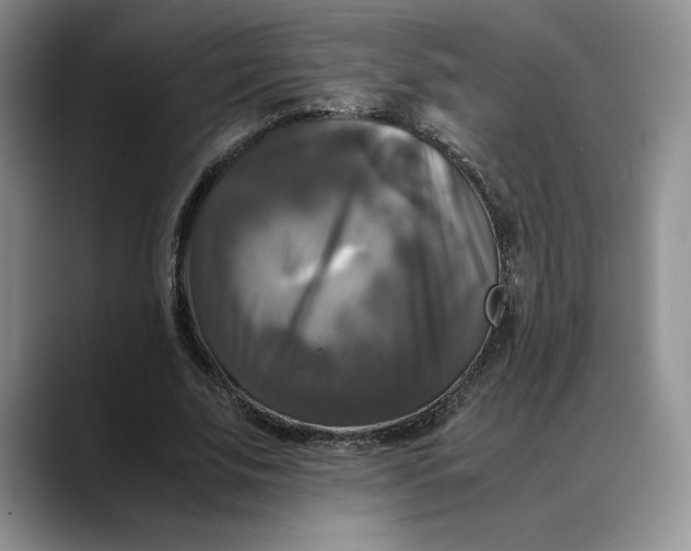 X0000088480679200706121531