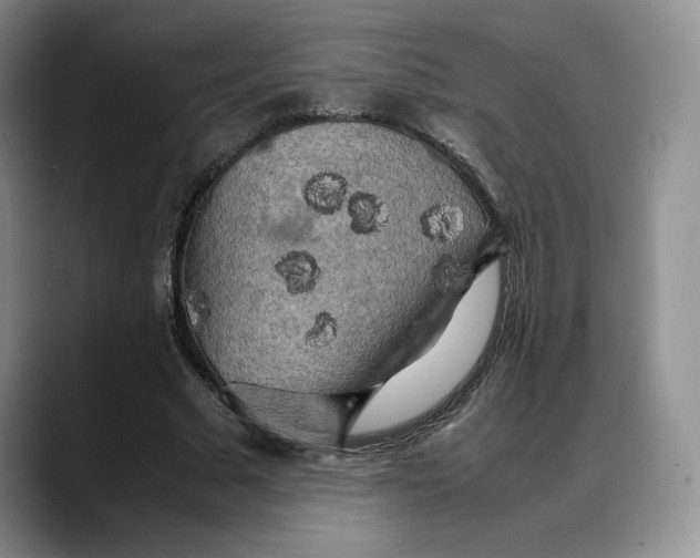 X0000088480681200706121531