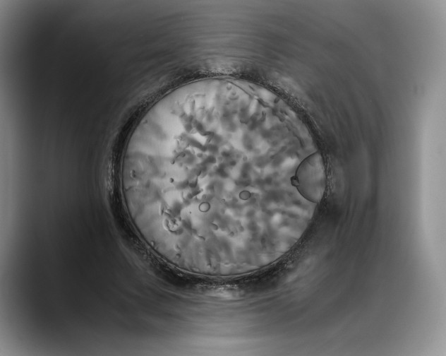 X0000088480683200706121531