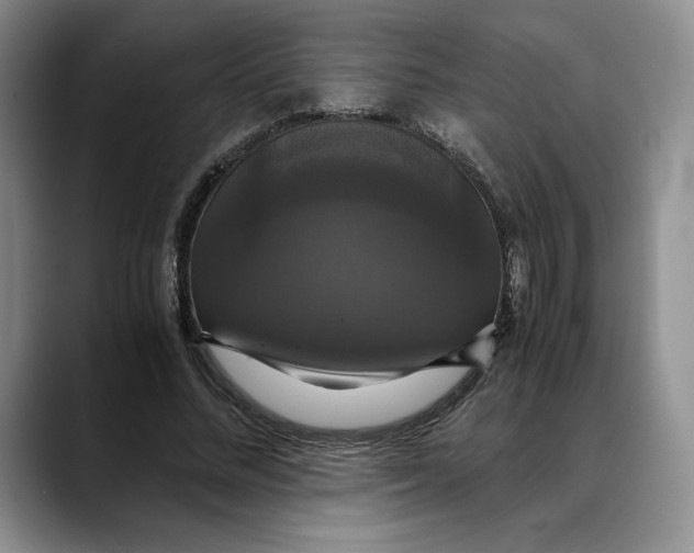 X0000088480684200706121531