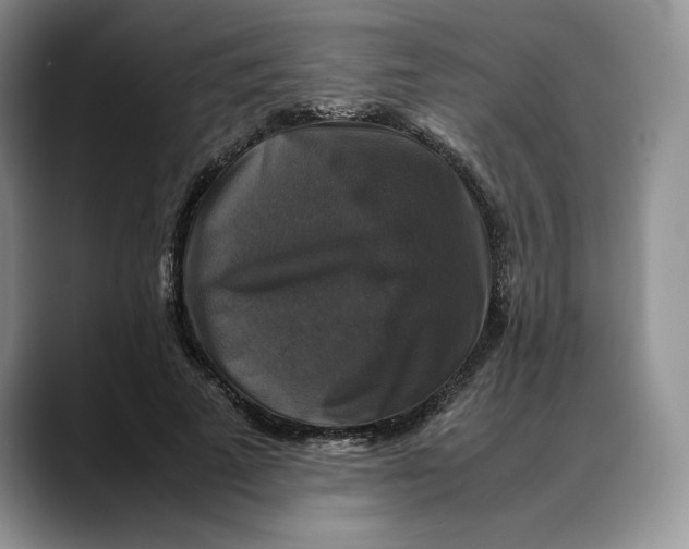 X0000088480689200706121531