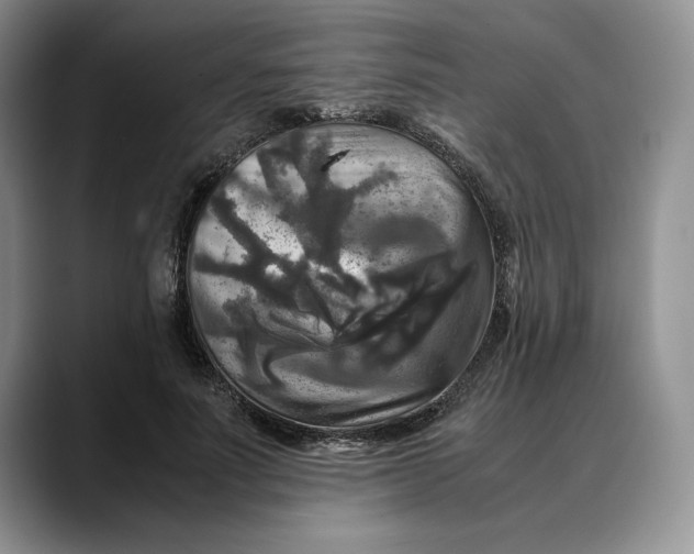 X0000088480691200706121531