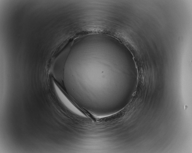 X0000088480692200706121531