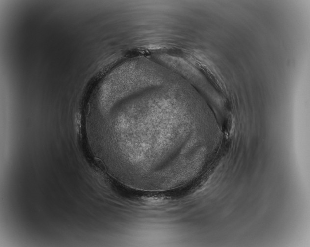 X0000088480693200706121531