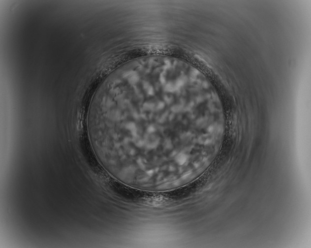 X0000088480695200706121531