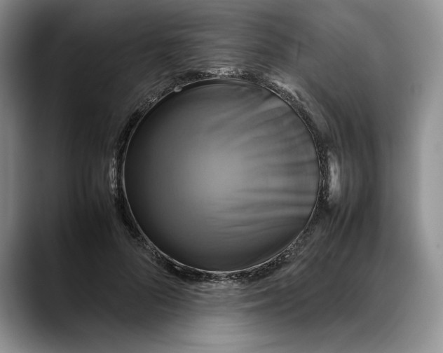 X0000088480696200706121531