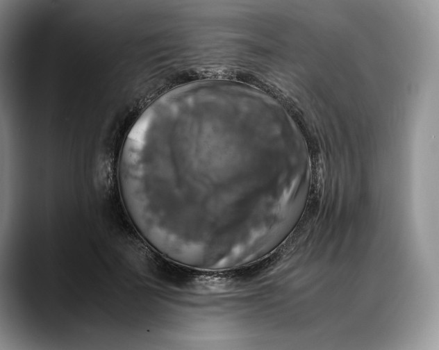 X0000088480699200706121531