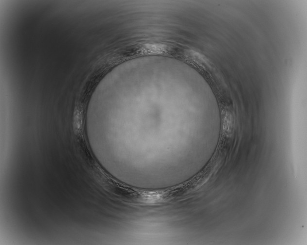 X0000088480701200706121531