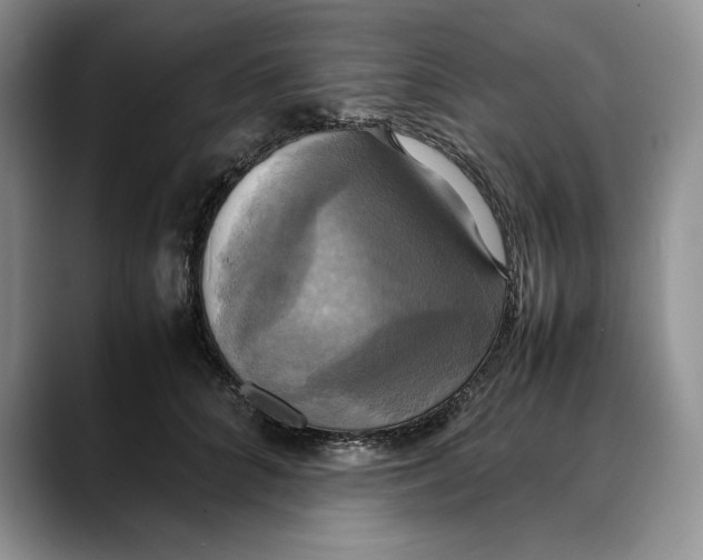 X0000088480704200706121531