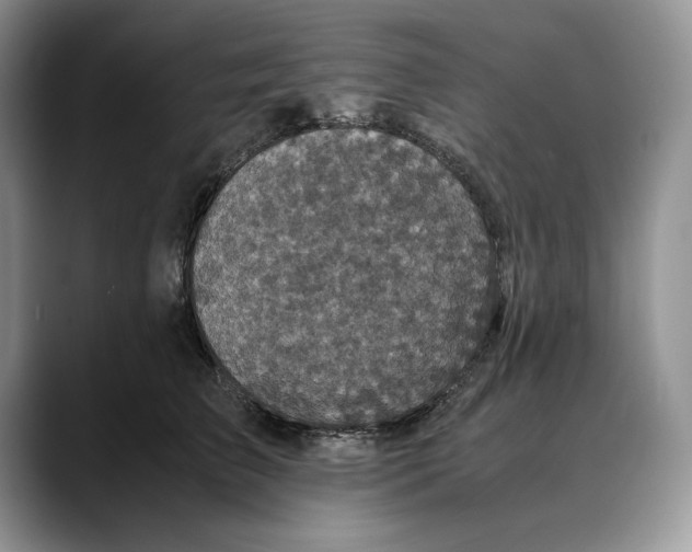 X0000088480709200706121531