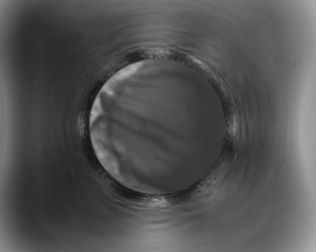 X0000088480715200706121531