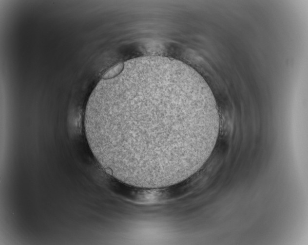 X0000088480717200706121531