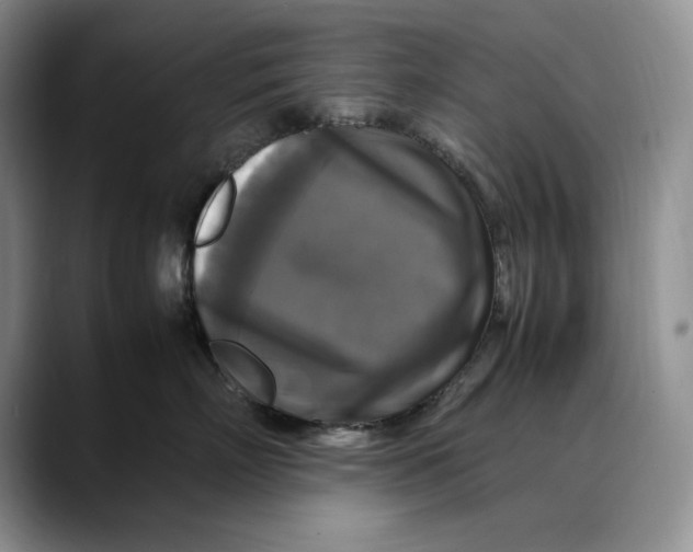 X0000088480718200706121531