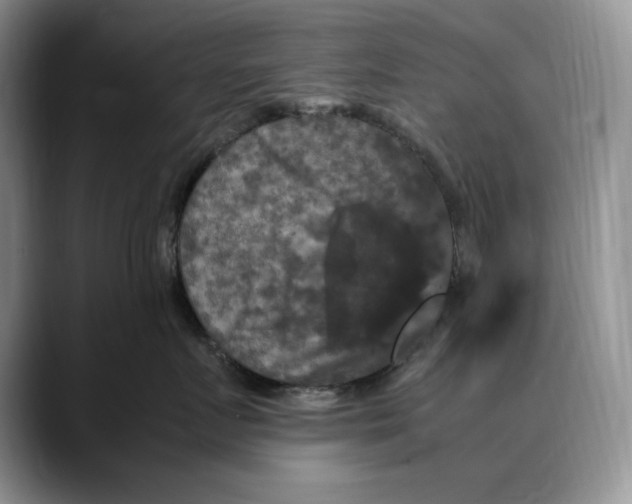 X0000088480719200706121531