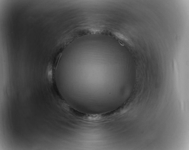 X0000088480720200706121531