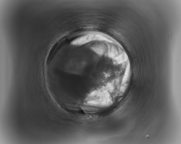 X0000088480721200706121530