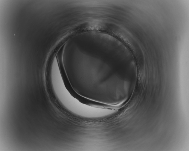 X0000088480722200706121530