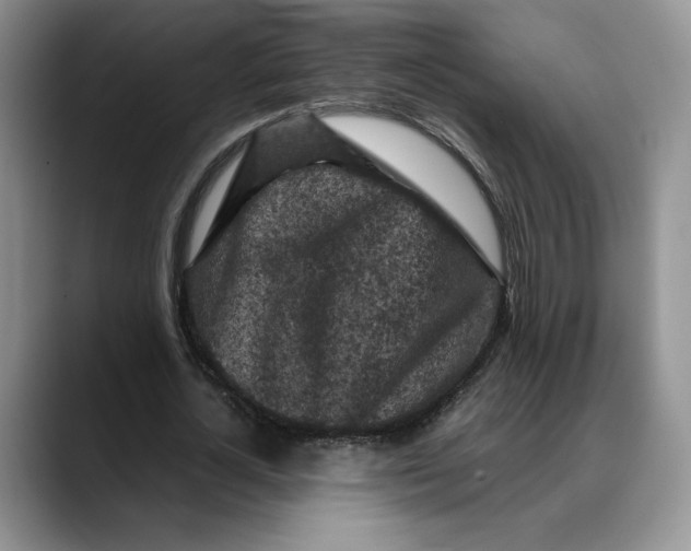 X0000088480724200706121530