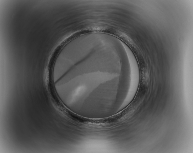 X0000088480726200706121530