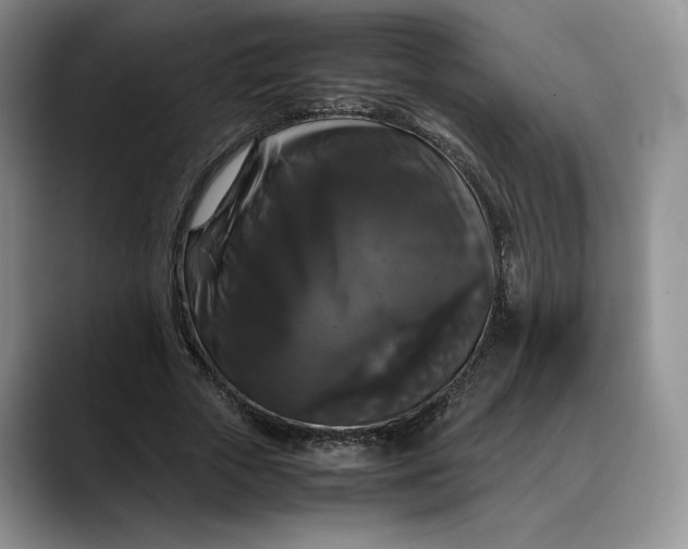 X0000088480729200706121530