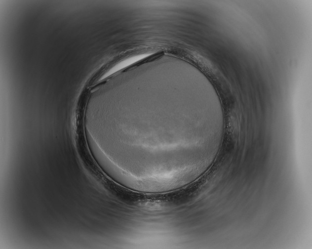 X0000088480730200706121530