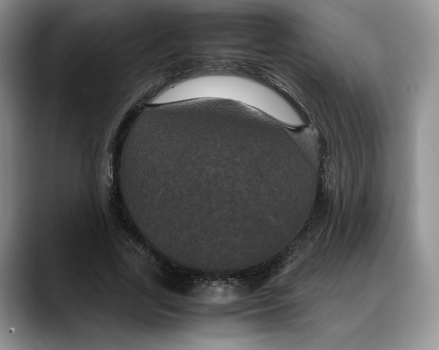 X0000088480731200706121530