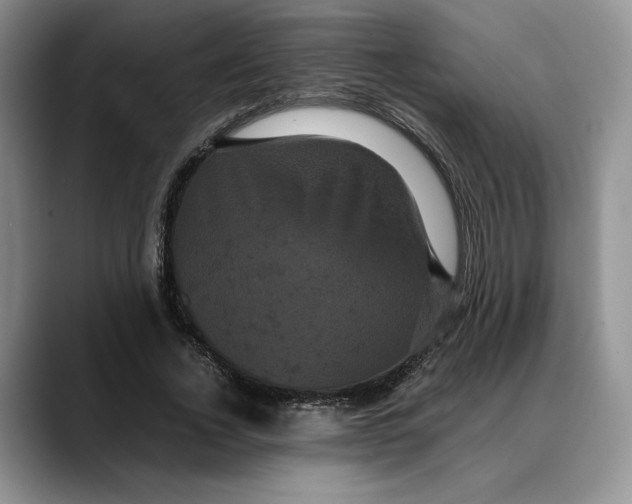 X0000088480732200706121530