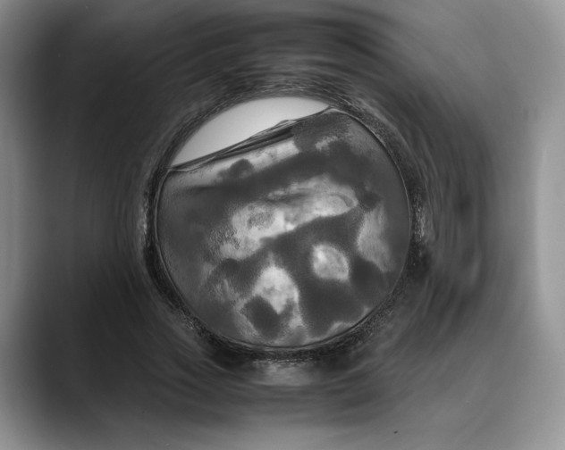 X0000088480733200706121530