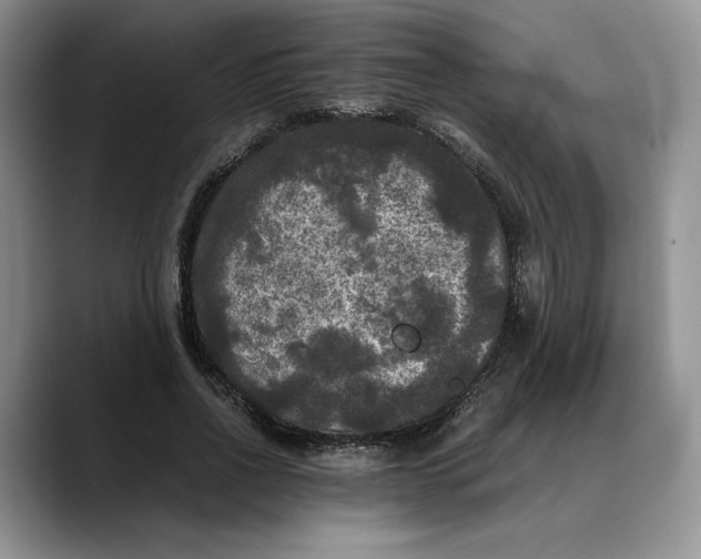 X0000088480734200706121530