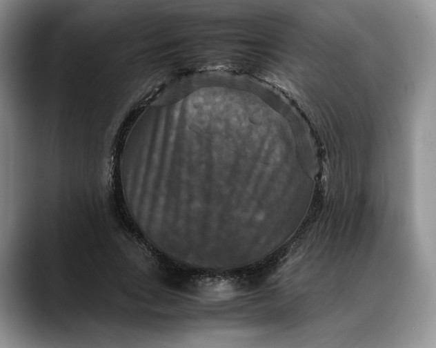 X0000088480735200706121530