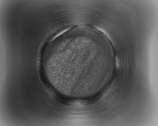 X0000088480736200706121530